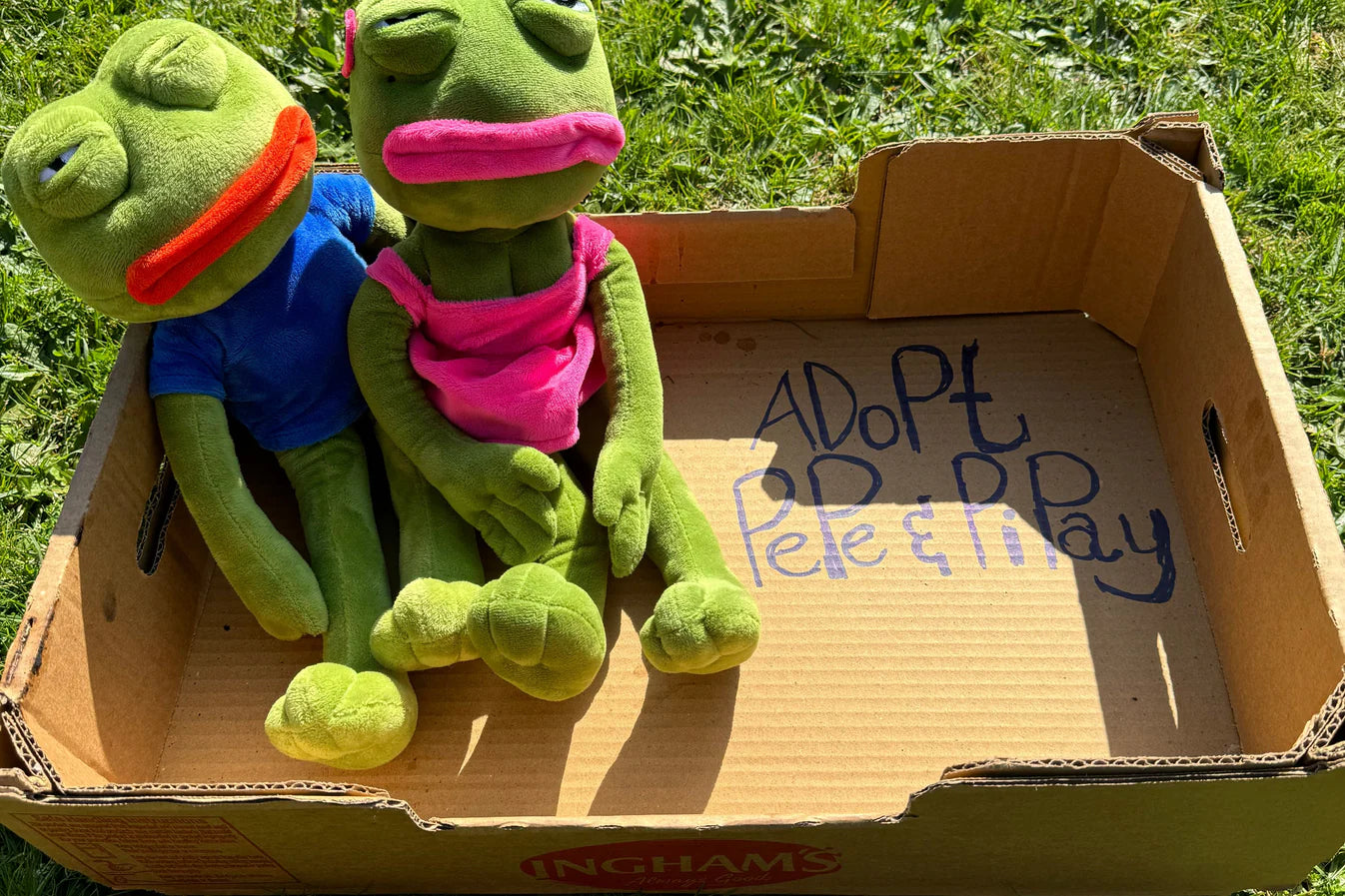 Pepe ve Pipay